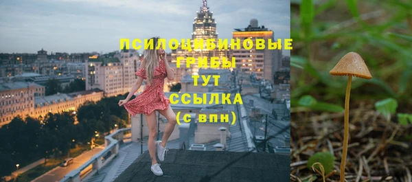 хмурый Балахна