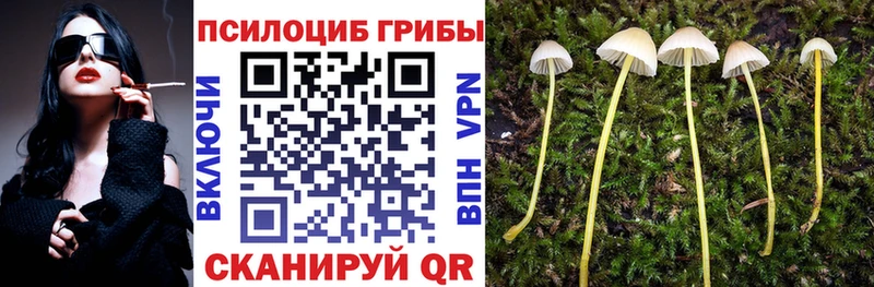 mega онион  Лебедянь  Галлюциногенные грибы GOLDEN TEACHER 